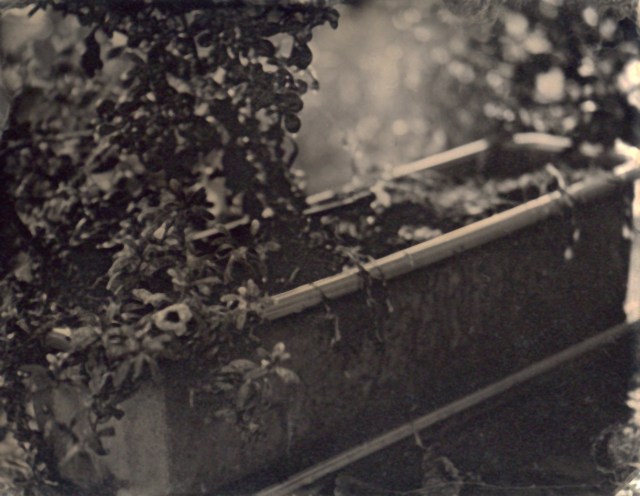 quarter plate 8-19-16